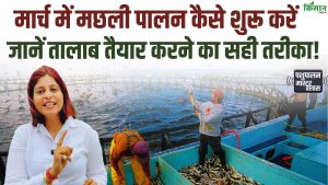 मार्च में शुरू करें मछली पालन, तालाब की सही तैयारी और समय पर बीज डालने से बढ़ेगा उत्पादन