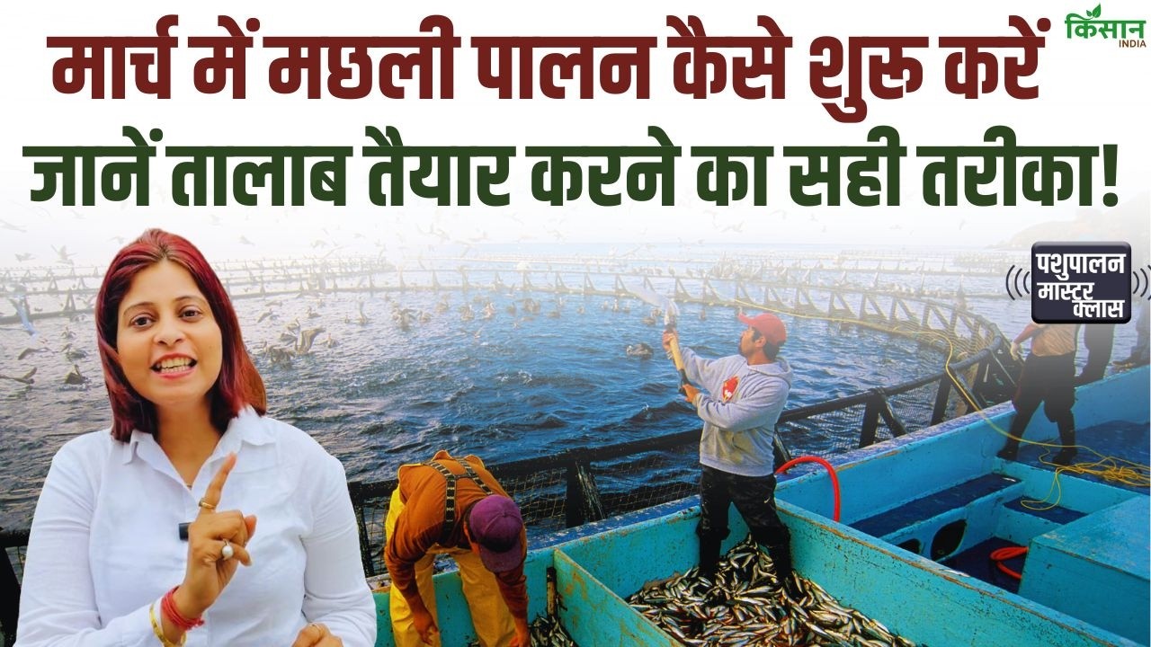 मार्च में शुरू करें मछली पालन, तालाब की सही तैयारी और समय पर बीज डालने से बढ़ेगा उत्पादन