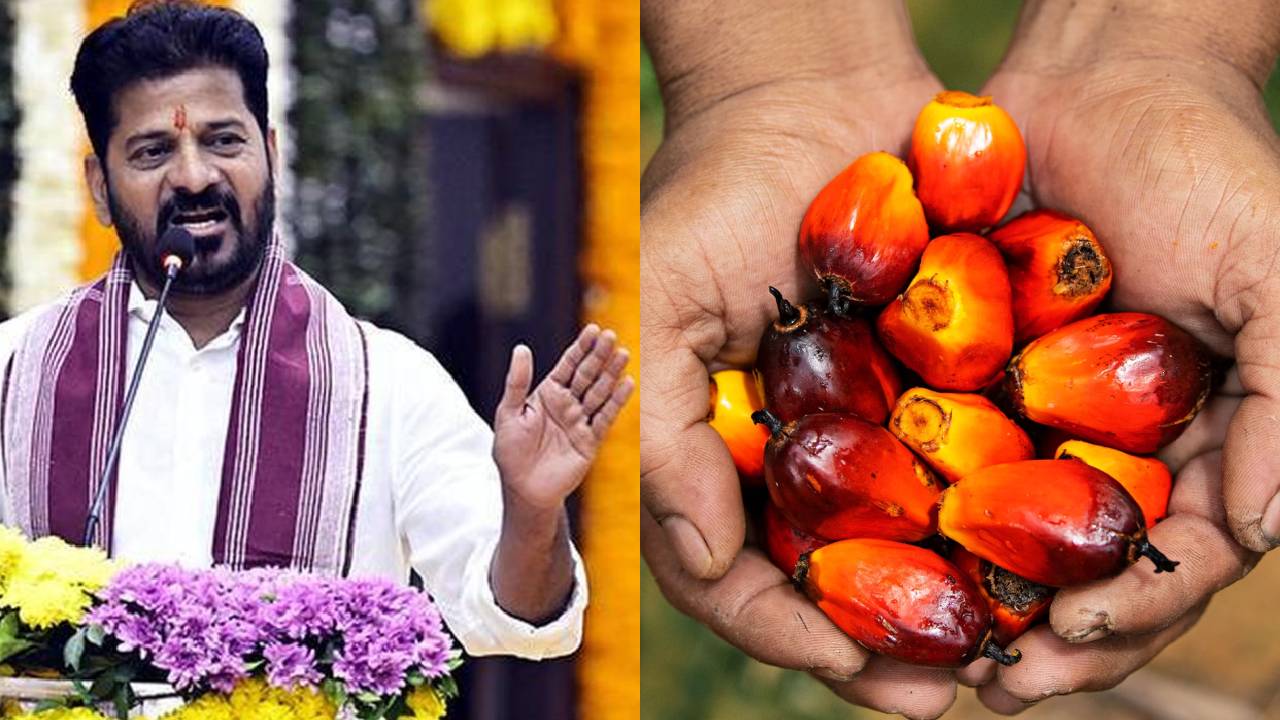 Telangana Palm Oil Factory 300 Crore Revanth Reddy Rythu Bharosa 3447 Crore Farmers Support 70 Lakh