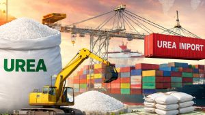 LNG संकट से उर्वरक उद्योग पर असर, भारत ने चीन से यूरिया आपूर्ति बढ़ाने की अपील की