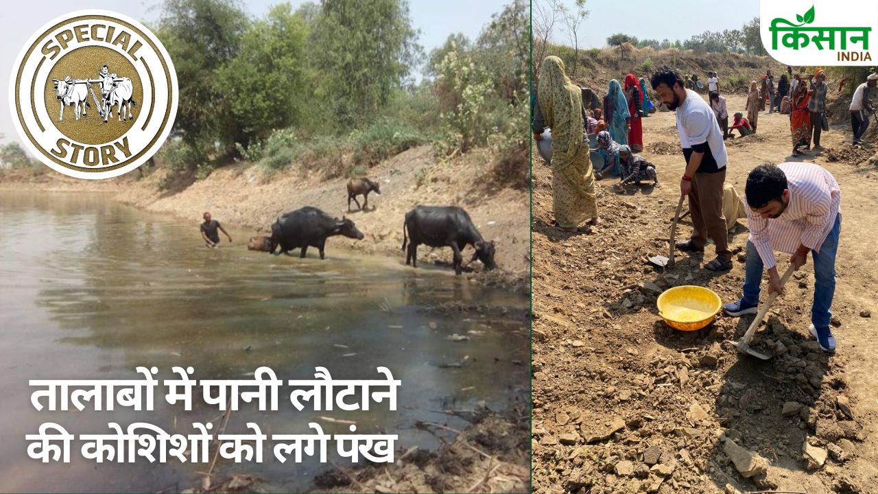 Villagers Farmers Efforts To Conserve Water And Restore Ground Water Level Achieving Success From Up To Chhattisgarh Pm Modi Appreciates