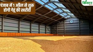 गेहूं खरीदी से पहले पंजाब ने FCI को लिखा पत्र, क्या गोदामों में उपज रखने के लिए नहीं है जगह?