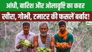 सीतामढ़ी में ओलावृष्टि का कहर.. सब्जियों की फसल तबाह, किसानों की मेहनत पर पानी फिरा और बढ़ी मुआवजे की मांग