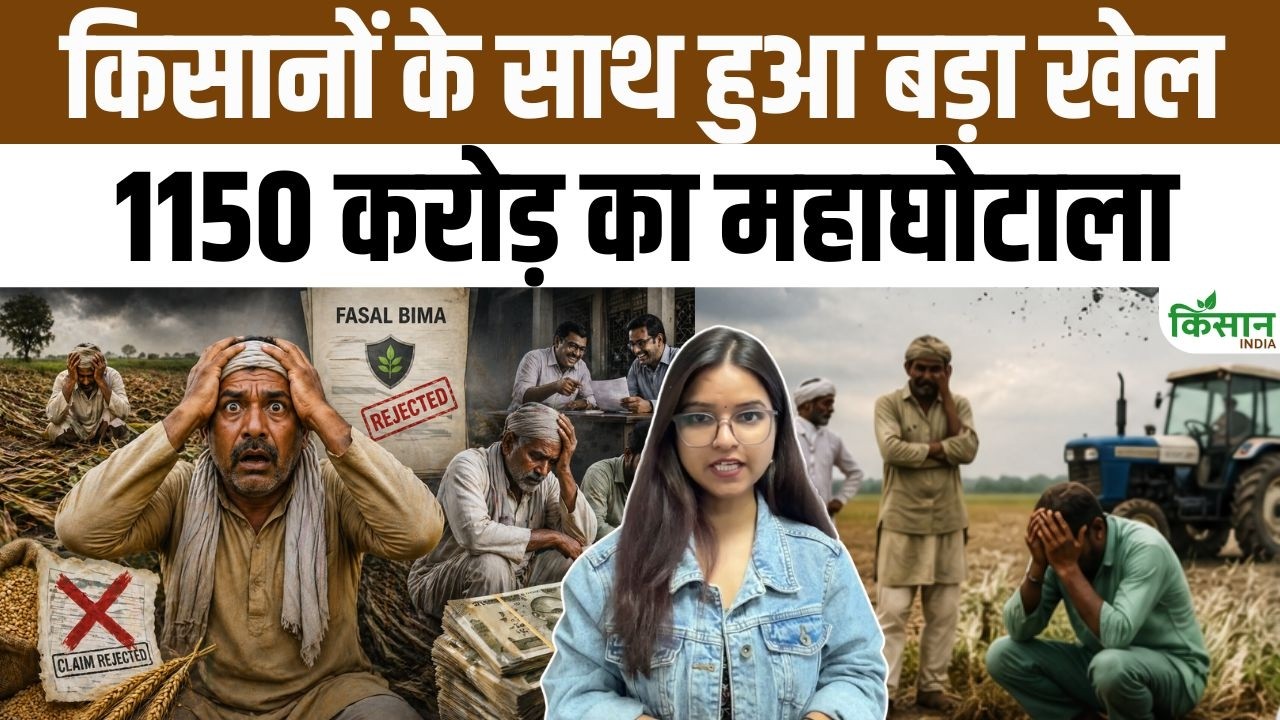 Thousands Farmers Duped Massive Rs 1150 Crore Scam Surfaced Under The Pm Fasal Bima Yojana Scheme