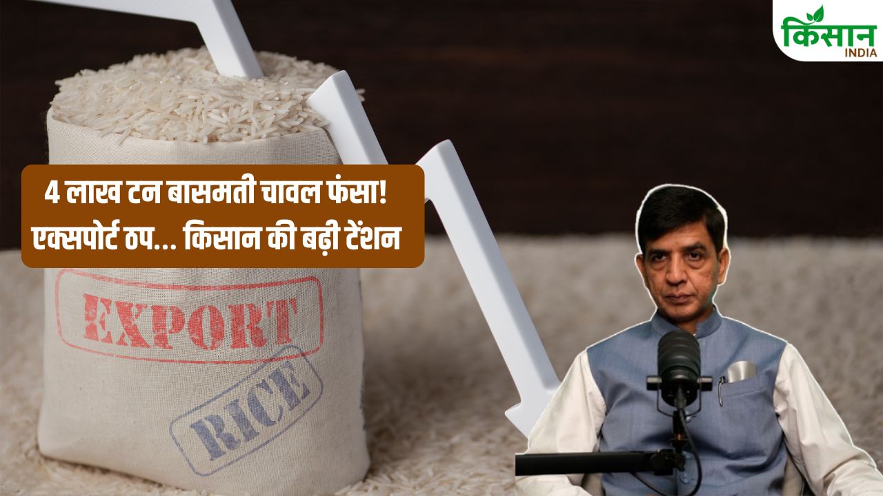 Ajay Bhalotia Makes Big Claim 4 Lakh Tonnes Basmati Stuck Farmers Earnings Danger