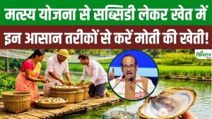 खेत के छोटे तालाब को बनाएं कमाई का साधन, PMMSY सब्सिडी से पर्ल फार्मिंग शुरू कर पाएं बेहतर आमदनी