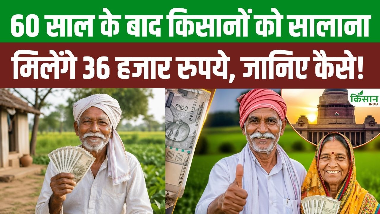 Pm Kisan Mandhan Yojana Provides Major Relief Farmers Opportunity Get Rs 3000 Pension Every Month After 60 Years