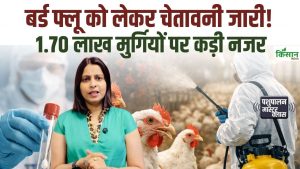 पोल्ट्री फार्म वालों के लिए बर्ड फ्लू अलर्ट, 256 सैंपल जांच में, 1.70 लाख मुर्गियों पर विभाग की कड़ी नजर पोल्ट्री फार्म वालों के लिए बर्ड फ्लू अलर्ट, 256 सैंपल जांच में, 1.70 लाख मुर्गियों पर विभाग की कड़ी नजर