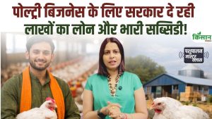 पोल्ट्री बिजनेस शुरू करने का शानदार मौका, सरकार दे रही 9 लाख तक लोन और 33 फीसदी तक सब्सिडी