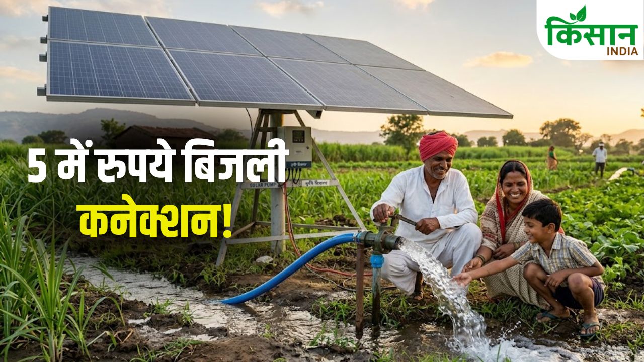 Madhya Pradesh Kisan Mukhyamantri Krishak Mitra Yojana 5 Rupees Pump Connection 90 Percent Solar Subsidy