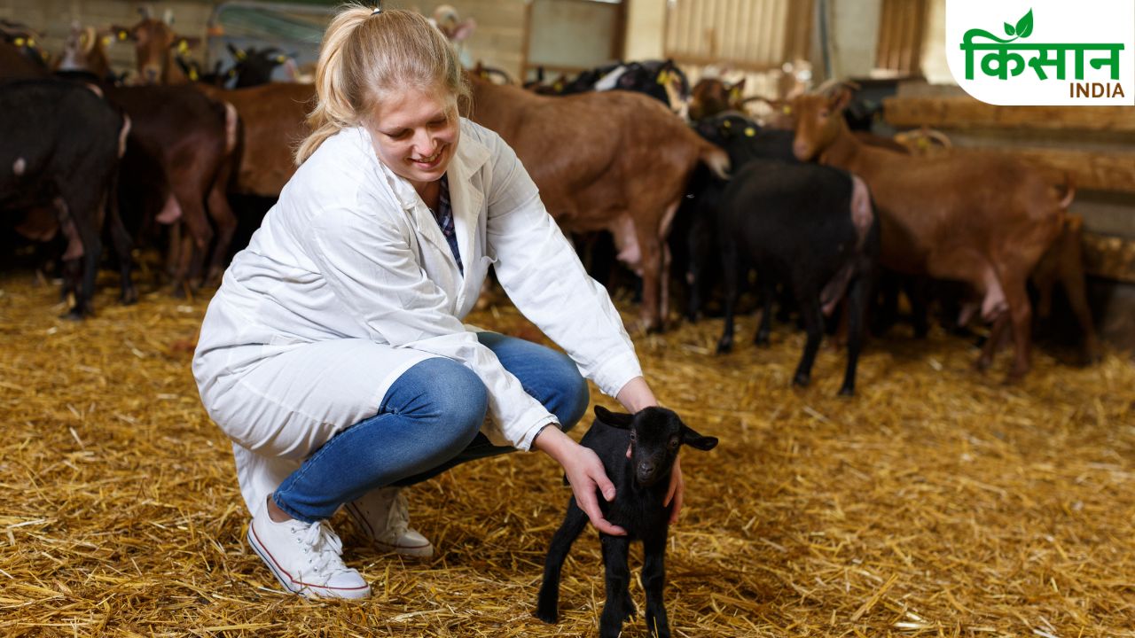 World Veterinary Day 2026 India Animal Husbandry Department Veterinary Doctors Food Safety Public Health