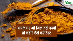 सावधान! कहीं आपकी रसोई में भी मिलावट हल्दी तो नहीं? 2 मिनट का ये टेस्ट खोल देगा सारी सच्चाई, जानें