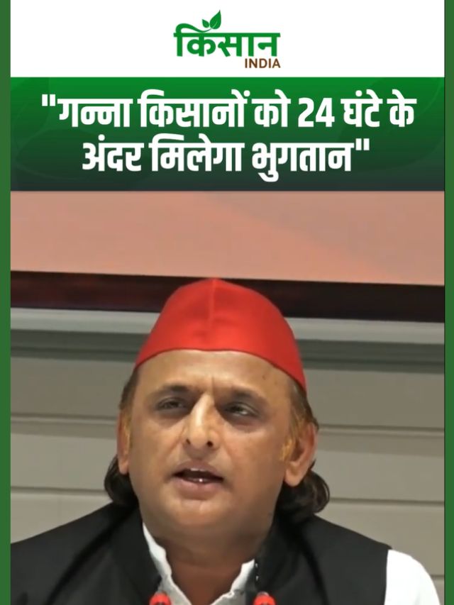 अखिलेश यादव ने गन्ना किसानों को 24 घंटे में भुगतान का किया वादा, फ्री बिजली पर दिया बड़ा बयान