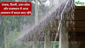 कई राज्यों में आज मौसम का दिखेगा भयानक रूप, MP में रेड अलर्ड जारी.. आंधी के साथ भारी बारिश मचाएगी तबाही