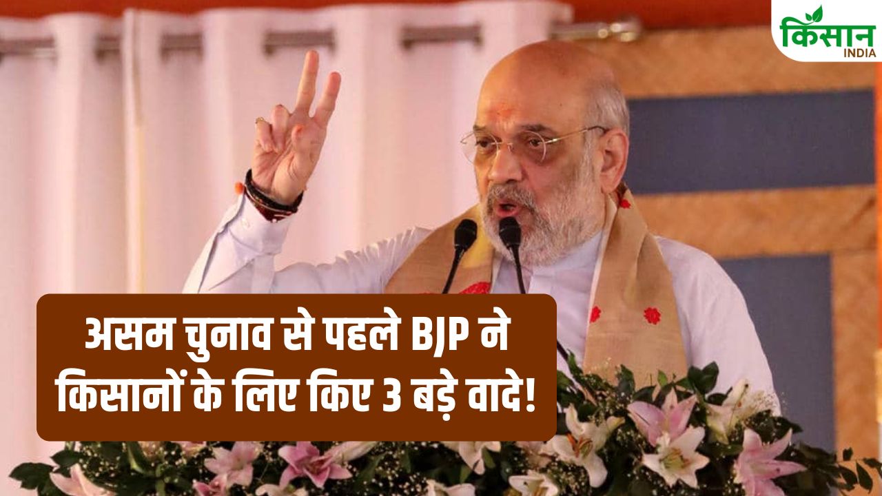 Assam Election 2026 Bjp Amit Shah 3 Big Promises For Farmers From Msp To Subsidy Check Here
