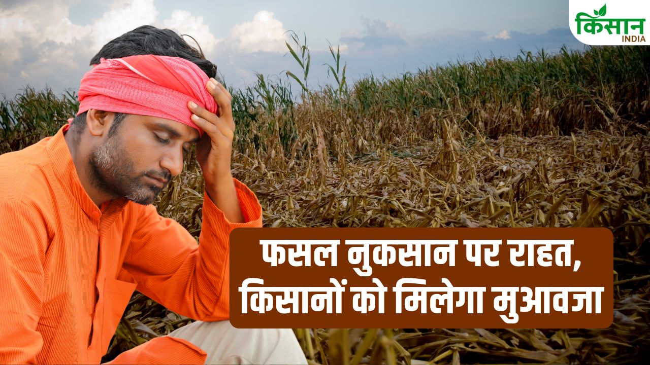 Bihar Farmer Compensation Scheme Details Disaster Relief 13 Districts Crop Loss Assistance Apply Online Till 5 May