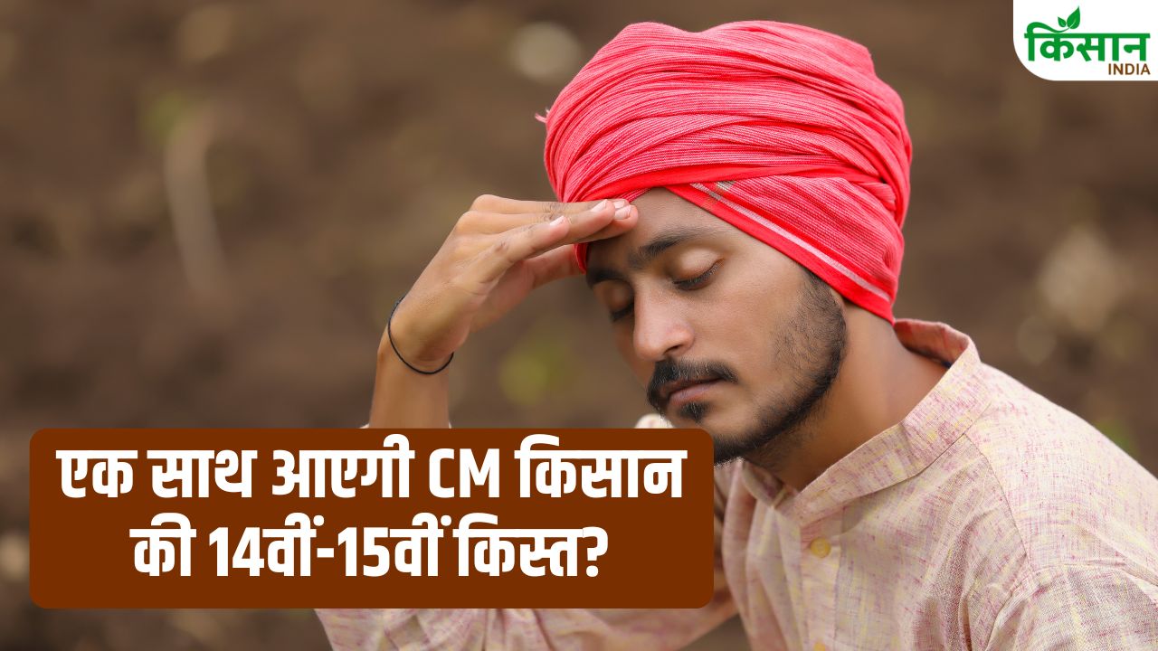 Cm Kisan Kalyan Yojana 14th 15th Installment Delay Update Madhya Pradesh Farmers Payment Status