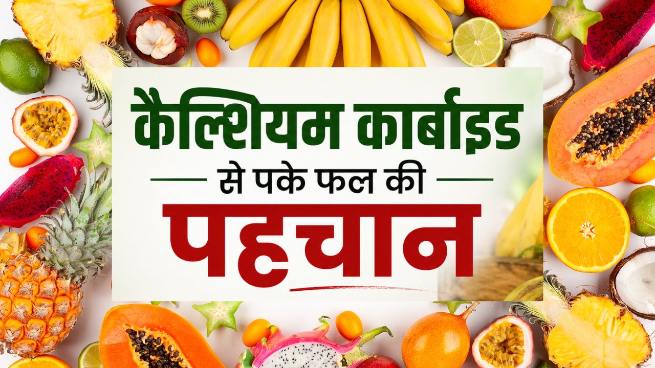 Tips And Tricks How To Identify Chemically Ripened Fruits Chemical Se Pake Phalon Ki Poehchan Kaise Kare