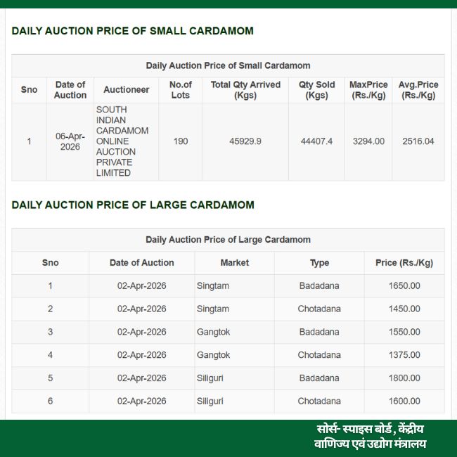 Cardamom auction Rates