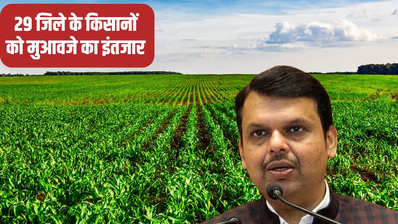 किसानों को बड़ी राहत, CM फडणवीस ने किया ऐलान.. इस नियम के तहत जल्द मिलेगा फसल मुआवजा