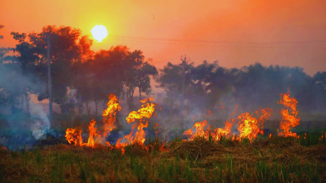 Crop Fire Safety Tips How To Protect Harvest From Fire Electric Pole Farming Safety Guide