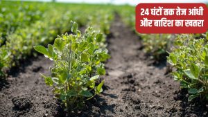 हरियाणा के 17 जिलों में ऑरेंज अलर्ट, किसानों के लिए एडवाइजरी जारी.. अभी गलती से भी न करें ये काम