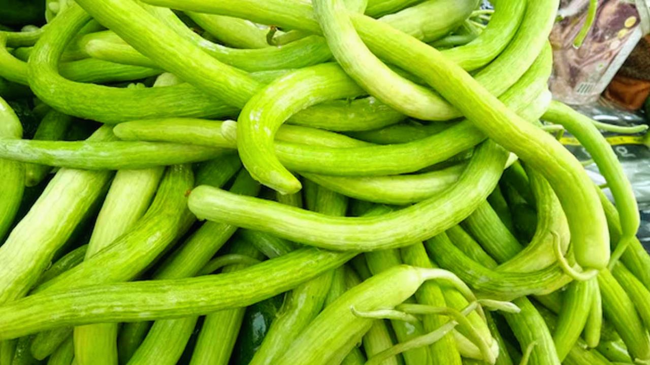 Cucumber Farming Tips In Summer High Profit Short Duration Cash Crop 40 Days Harvest Farming Tips
