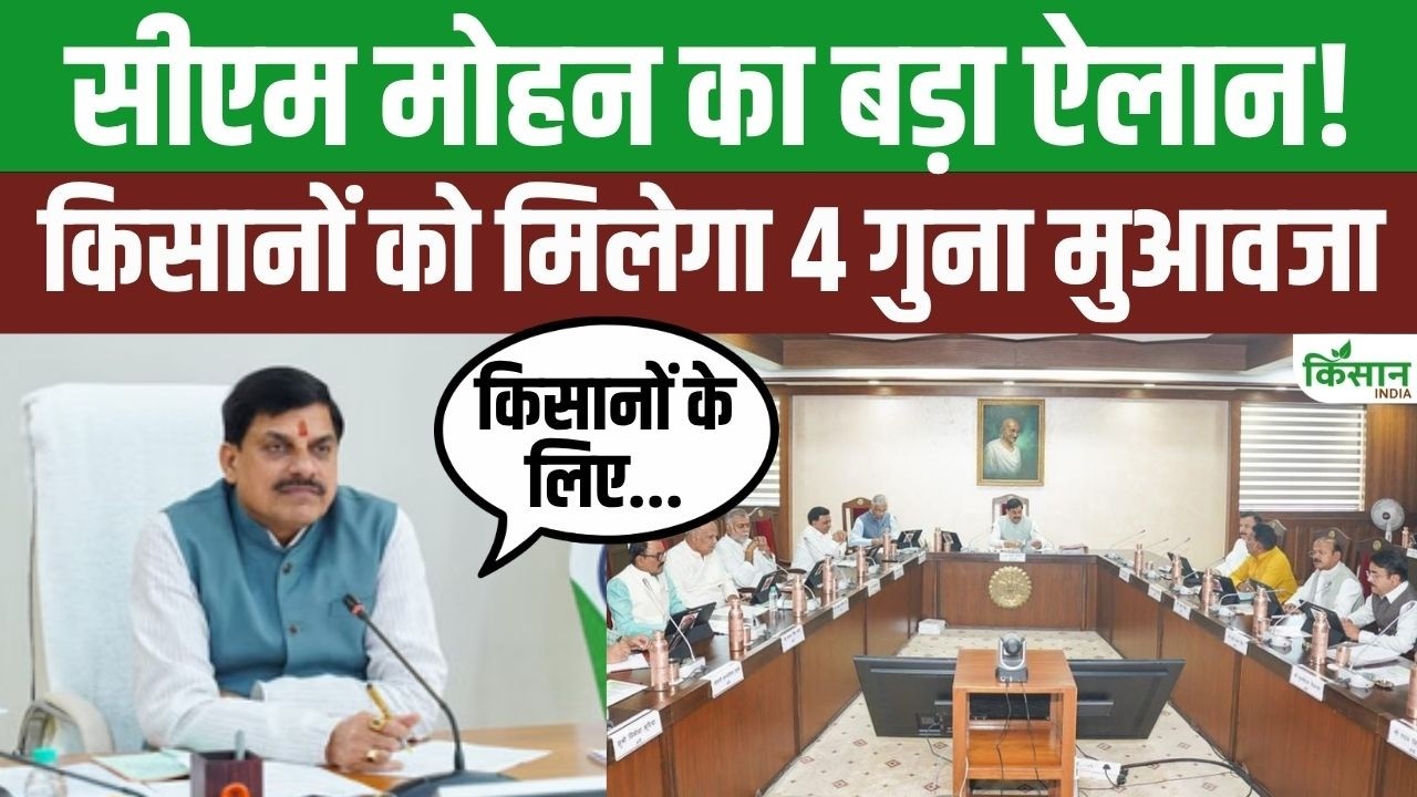 Farmers Receive Major Boon At Mp Cabinet Meeting Mohan Government Announces Fourfold Compensation