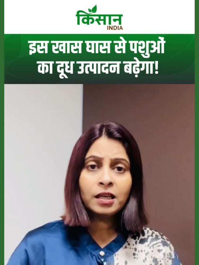 Dairy Farming Tips: अप्रैल में पशुपालक जरूर करें ये काम, बढे़गा पशुओं का दूध उत्पादन और मुनाफा