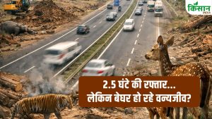 2.5 घंटे की रफ्तार के पीछे जंगलों की तबाही! हजारों पेड़ों की बलि… क्या दिल्ली-देहरादून कॉरिडोर ने वन्यजीवों से छीना उनका घर?