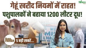 Top 5 Agriculture News: गेहूं खरीद में राहत, 1200 लीटर दूध सड़क पर बहा, किसानों-पशुपालकों में बढ़ी हलचल