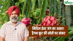 मिडिल ईस्ट जंग का असर! ड्रैगन फ्रूट और एक्सोटिक खेती पर मंडराया संकट, किसानों को भारी नुकसान का डर