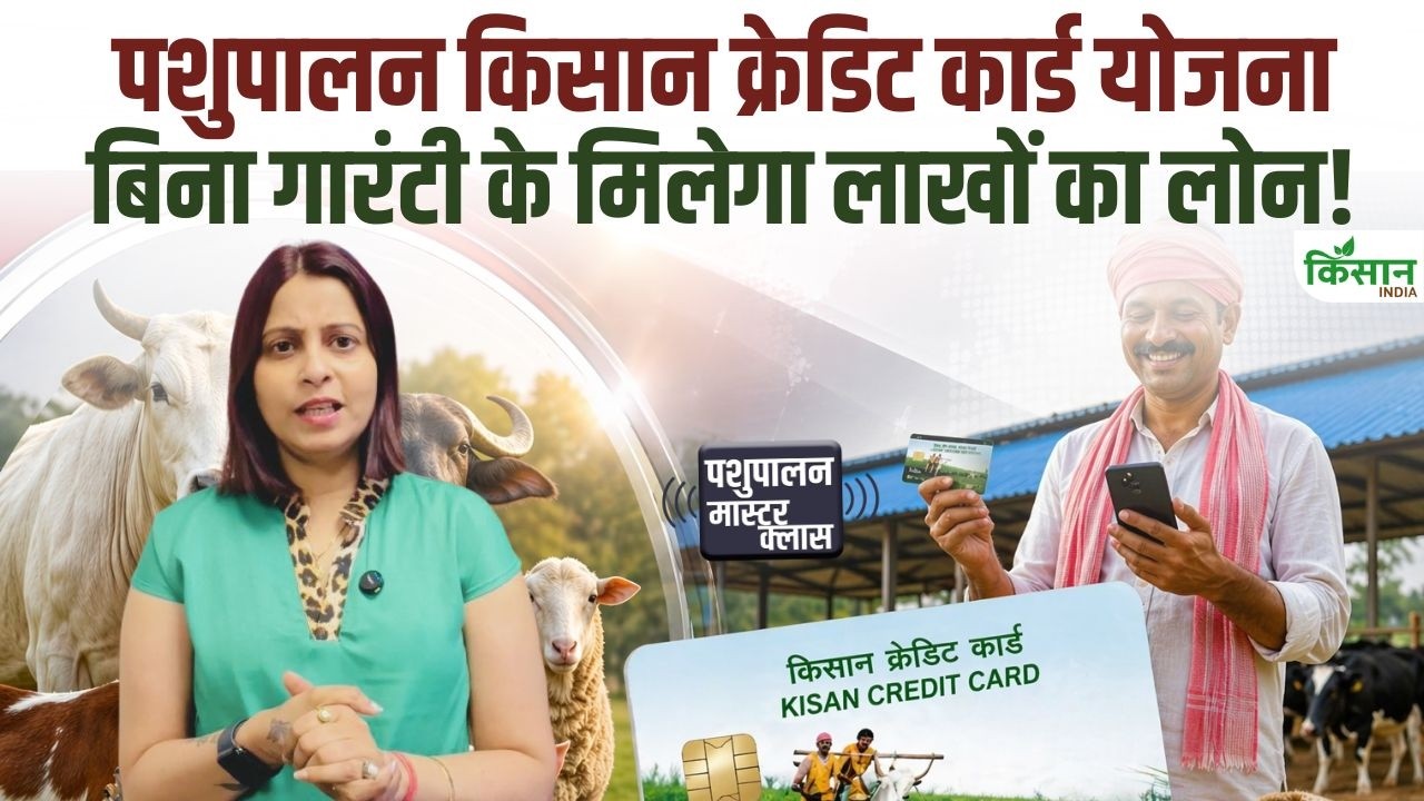Good News Animal Husbandry Farmers Credit Card Scheme Offers Affordable Loans Payment Easy Installments Without Guarantee