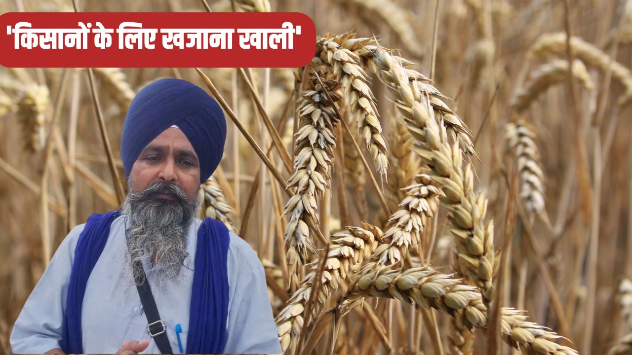 Punjab Unseasonal Rains Crop Damage Sarwan Singh Pandher Attacks The Cm Bhagwant Mann Government