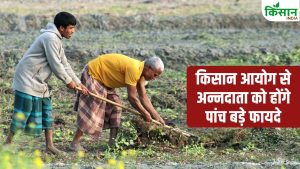 हिमाचल में किसानों के लिए बनेगा आयोग, विधानसभा से बिल पास.. अब नहीं रुकेगा कृषि फंड