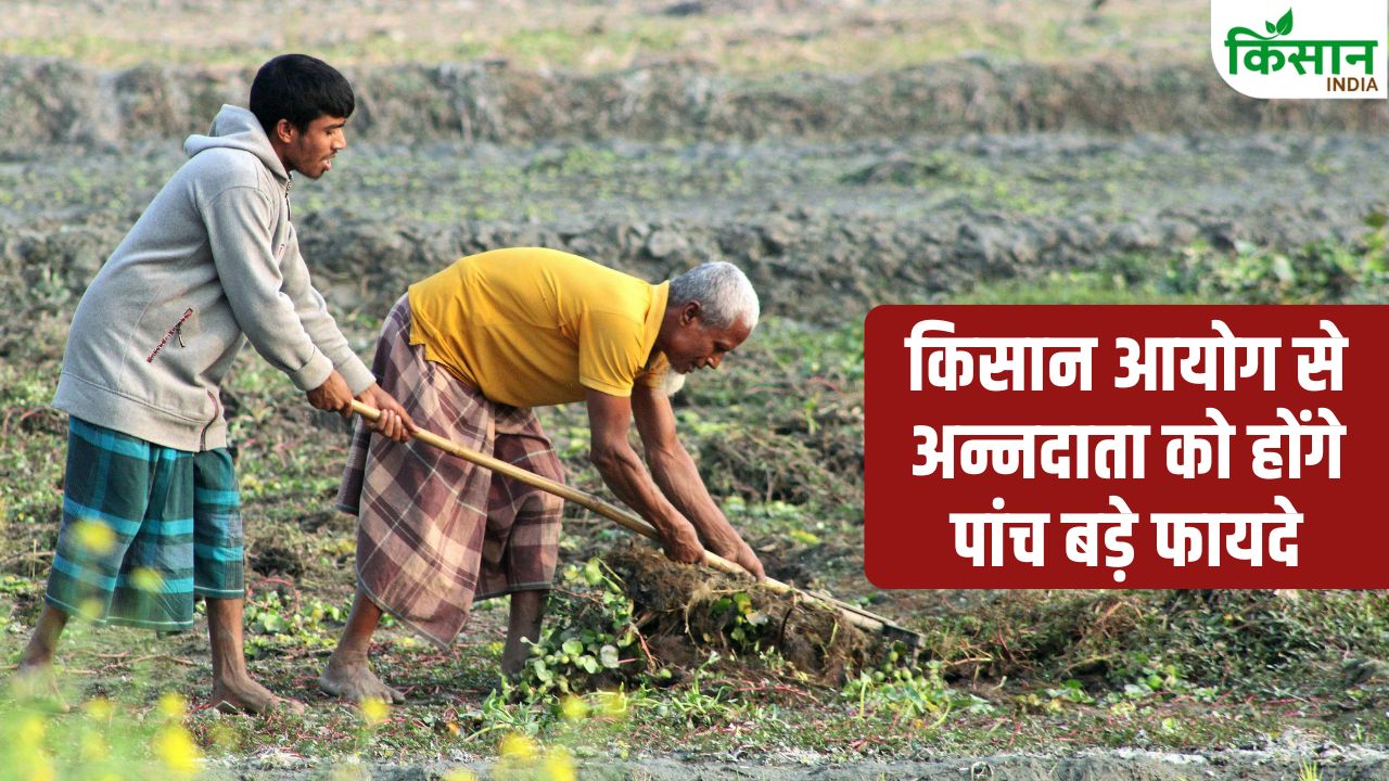 Himachal Pradesh Form Commission For Farmers Bill Passed By Assembly Agricultural Loans Now Available
