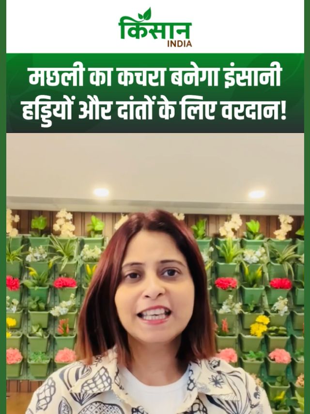 मछली के कचरे से ठीक होंगी इंसानी हड्डियां और दांत, ICAR-CIFT के वैज्ञानिकों ने की नई खोज