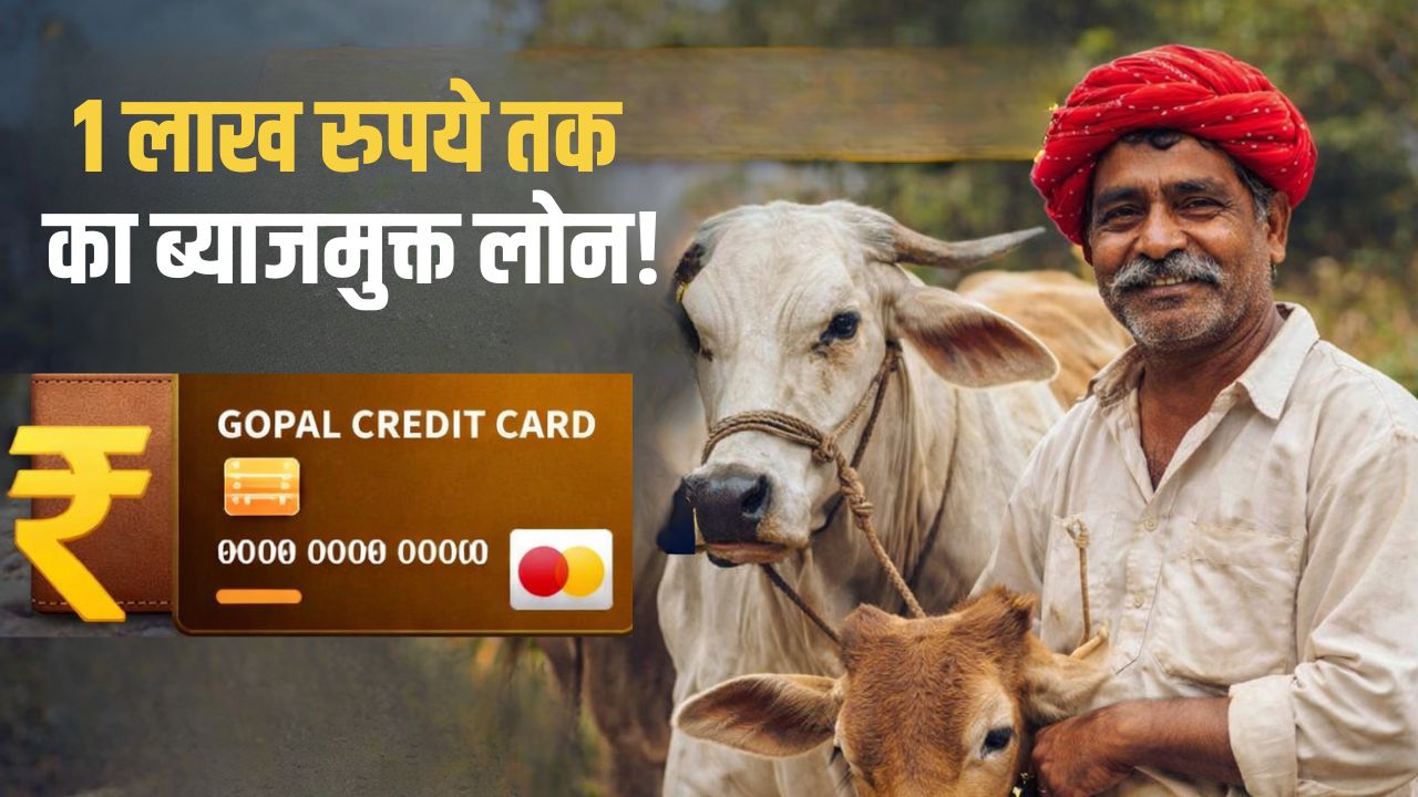 Rajasthan Gopal Credit Card Yojana Interest Free Loan Upto Rupees 100000 Apply Process Animal Husbandry Scheme