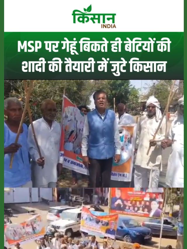 Madhya Pradesh में शुरू हुई गेहूं की सरकारी खरीद, किसानों को मिलेगा 2700 रुपये प्रति क्विंटल