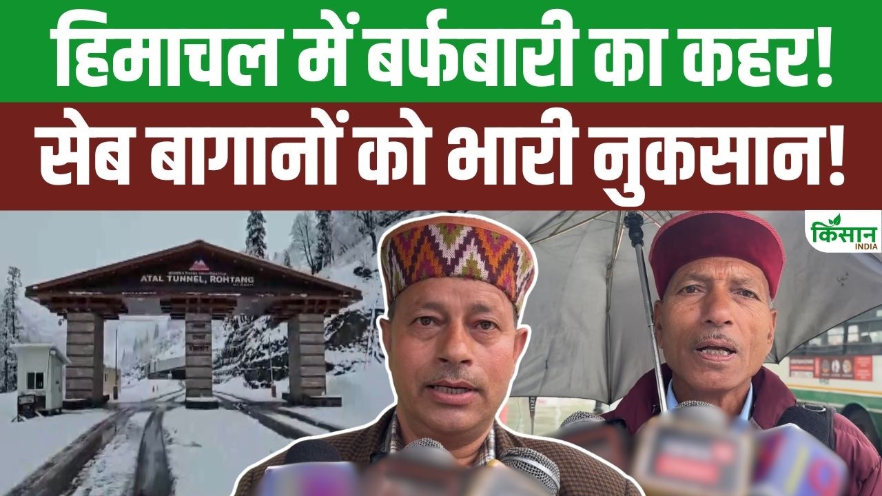 Himachal Pradesh में बर्फबारी का कहर! अटल टनल रोहतांग के पास भारी हिमपात, सेब बागानों को भारी नुकसान