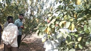 एक हजार रुपये खर्च कर किसानों को मिलेंगे 40 हजार रुपये, सरकार की खास योजना का लाभ उठायें किसान 