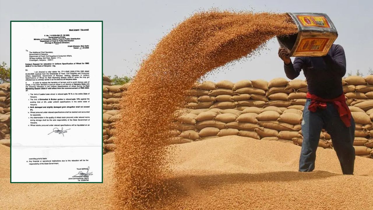 Haryana Broaken Wheat Limit Rises Order Issued Modifying Wheat Procurement Rules And Relaxation On Standard For Haryana What Purchase Rules