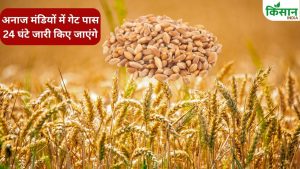 कृषि मंत्री की किसानों से खास अपील, अब किसी भी समय मंडी में बेच सकते हैं गेहूं.. समय पर होगा भुगतान