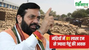 हरियाणा में बंपर गेहूं खरीदी, 70 लाख टन के पार पहुंचा आंकड़ा.. इतने किसानों ने बेची फसल
