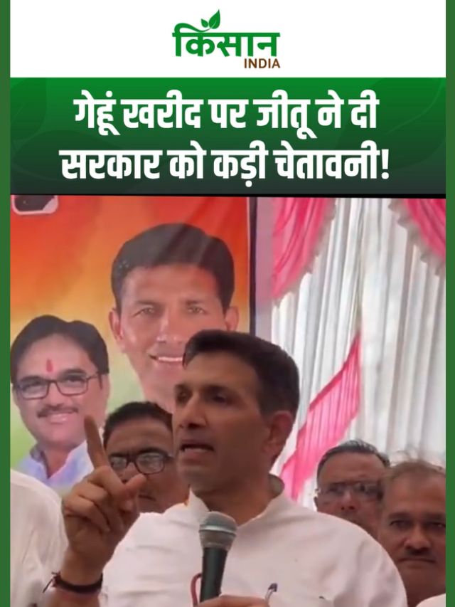 समय पर गेहूं खरीदी नहीं तो सरकार चैन से नहीं सो पाएगी, Jitu Patwari ने सरकार को दी चेतावनी