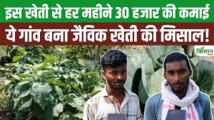दरभंगा का यह गांव बना ऑर्गेनिक खेती की मिसाल, सब्जियों से हर महीने 30 हजार तक कमा रहे किसान