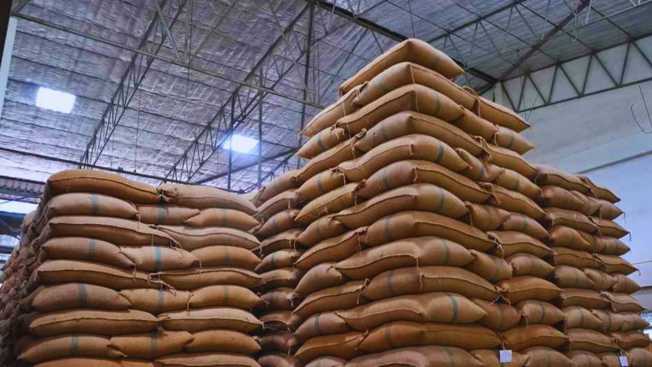 देश में अनाज की भरमार या छुपा खतरा? सरकार का दावा-3 गुना स्टॉक, फिर भी क्यों बढ़ी निगरानी!