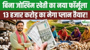 Andhra Pradesh सरकार का फैसला, मशरूम की खेती पर 13 हजार करोड़ खर्च होंगे