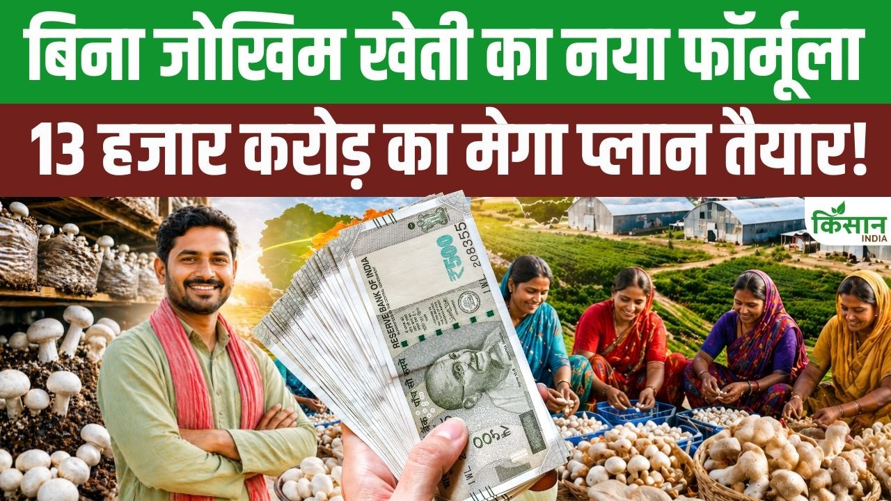 Andhra Pradesh Government Big Decision 13000 Crore Rupees Spent On Mushroom Farming Employment Opportunities Women And Youth