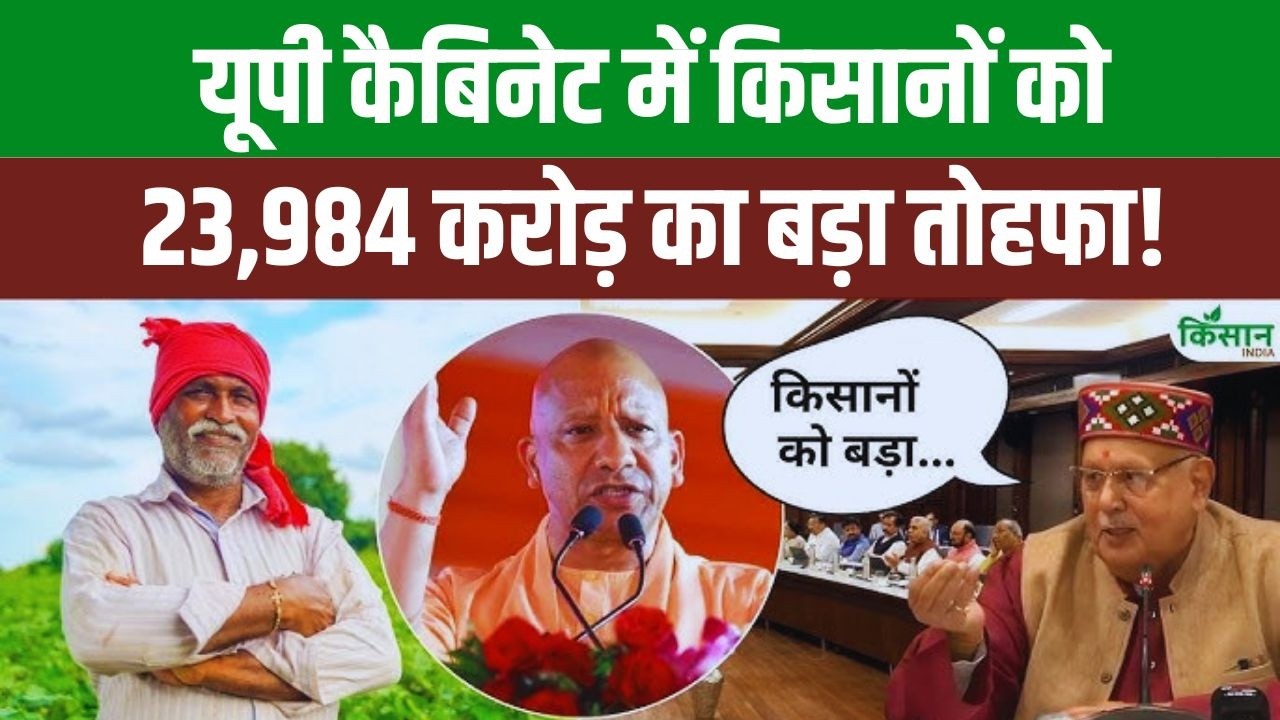 CM Yogi की कैबिनेट में किसानों के लिए बड़ा ऐलान, सिंचाई परियोजनाओं और बिजली राहत से बढ़ेगा मुनाफा तेजी